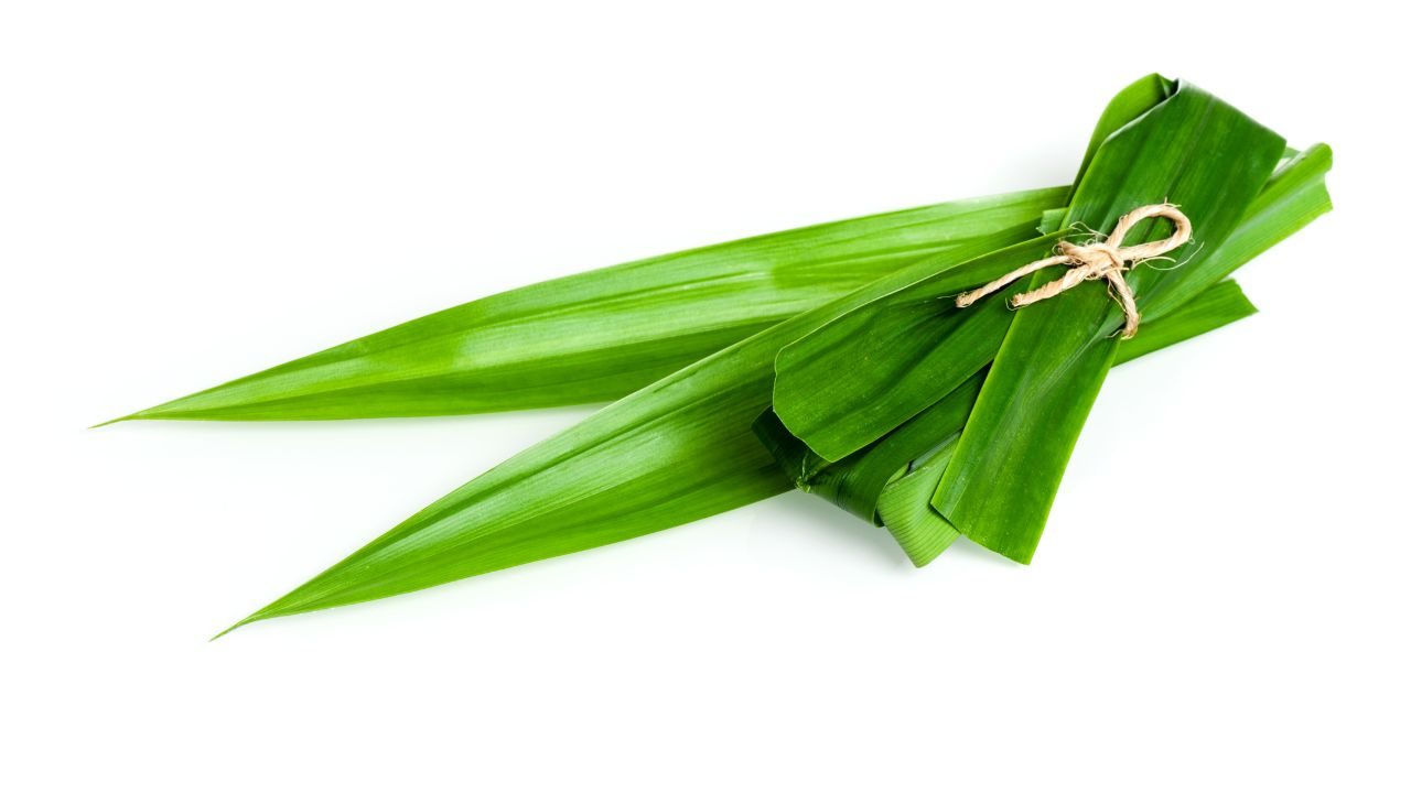 pandan leaves 